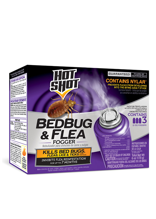 Hot Shot Fog Bed Bug and Flea Fogger 2 oz. Ace Hardware Maldives
