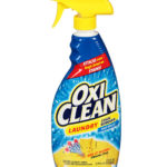OxiClean Fresh Scent Laundry Stain Remover Liquid 21.5 oz.