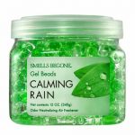 Smells Begone Calming Rain Scent Odor Absorber 12 oz. Gel
