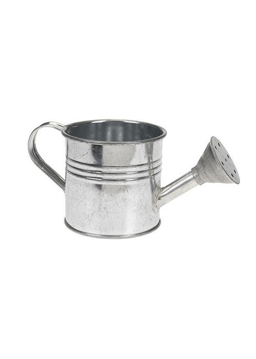 Watering Can Zinc with Seeds Ace Hardware Maldives