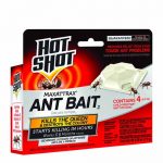 Hot Shot MaxAttrax Ant Bait