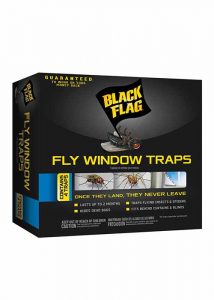 Black Flag Fly Trap