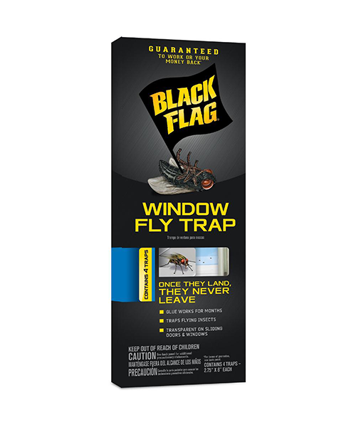Black Flag Fly Trap