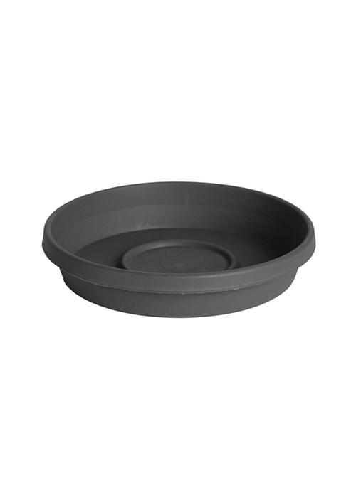 Bloem Terratray 6 in. Dia. Resin Tray Charcoal Ace Hardware Maldives