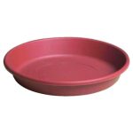 Terra Tray,16 Inch, Brown