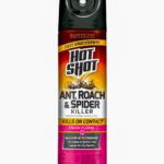 Hot Shot Ant, Roach & Spider Killer 17.5oz
