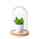 Artificial Plant In Glass Dome