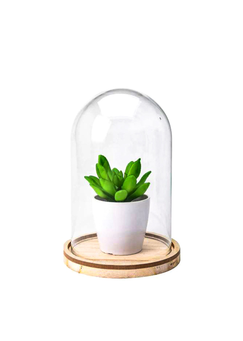 Artificial Plant In Glass Dome - Ace Hardware Maldives