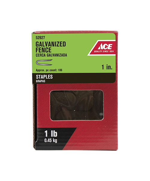 Ace 1 in. L Galvanized Steel Fence Staples 1 lb