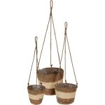 FLOWER POT CATTAIL LEAVE SET3  430000980